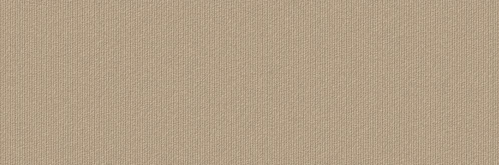 BALLET MARRON /20*60 /плитка настенная