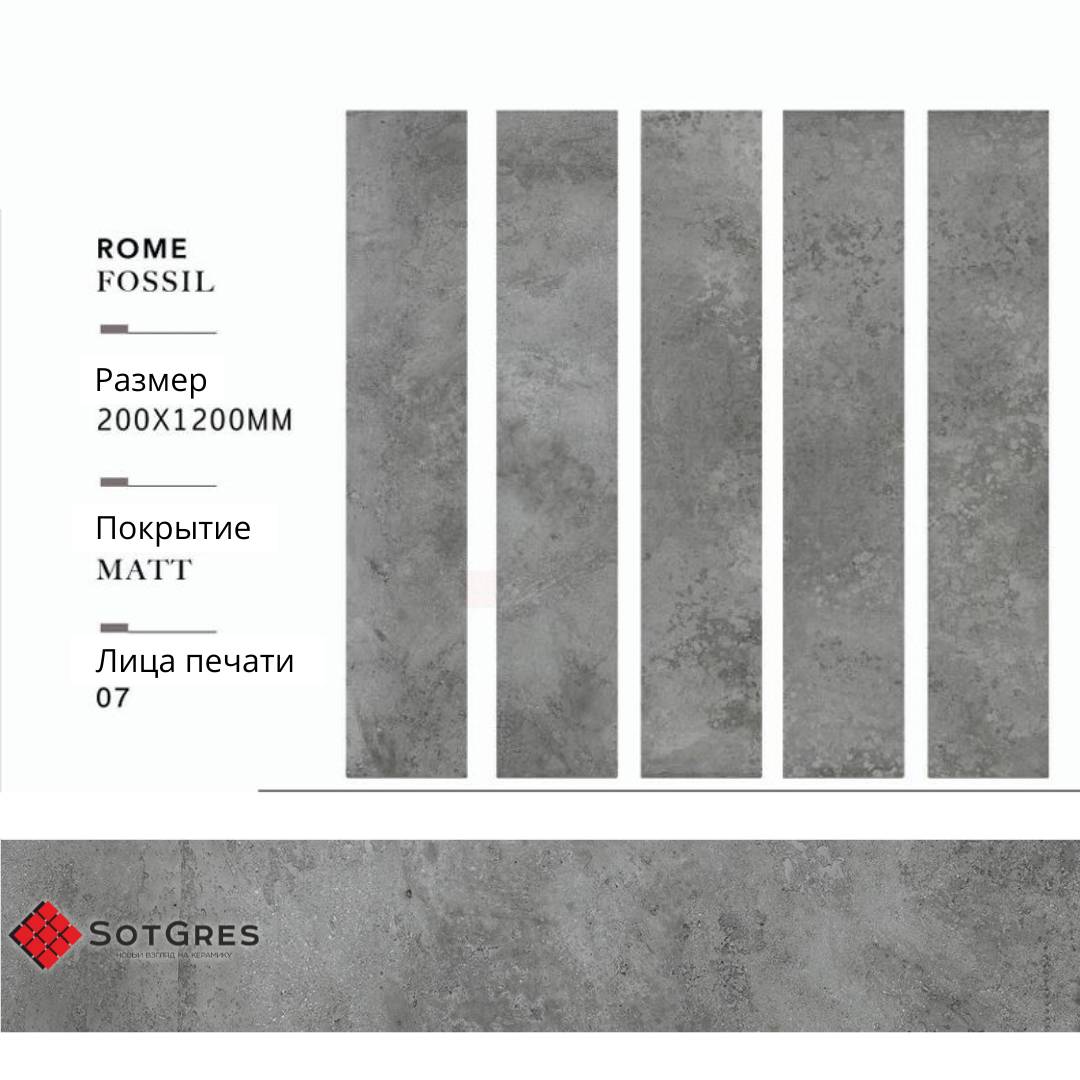 ROME FOSSIL/20х120/матовый керамический гранит